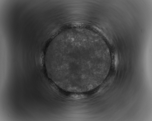 X0000094820712200712071246