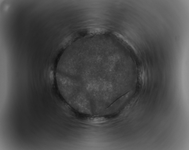 X0000094820716200712071246