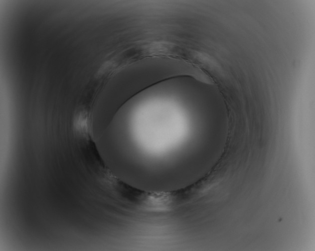 X0000094820720200712071246