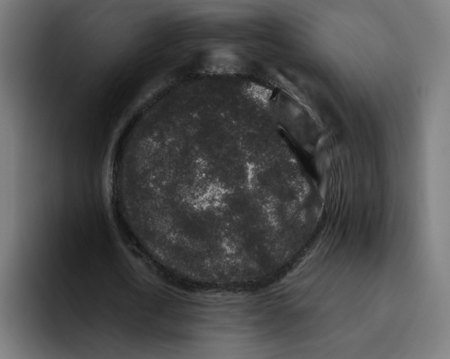 X0000094820722200712071245