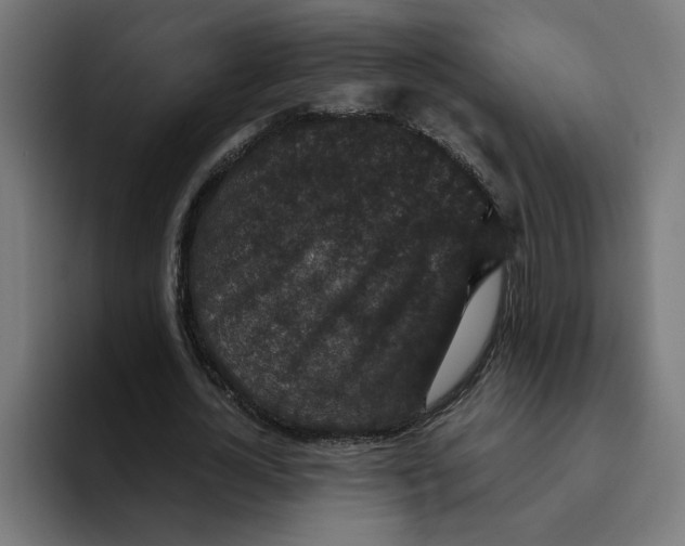 X0000094820724200712071245