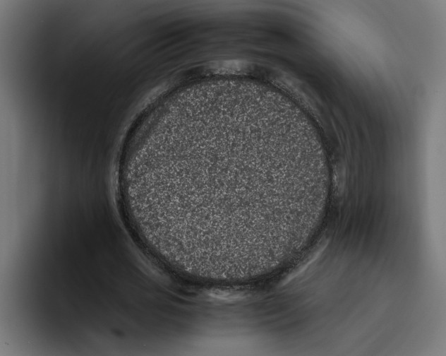 X0000094820725200712071245