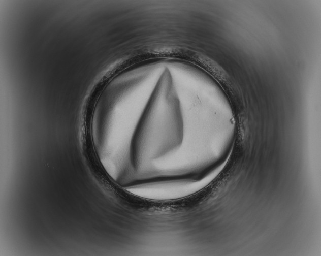 X0000094820728200712071245