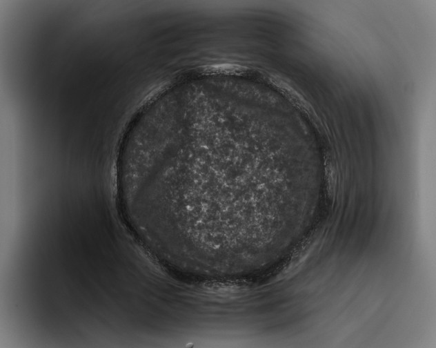 X0000094820729200712071245