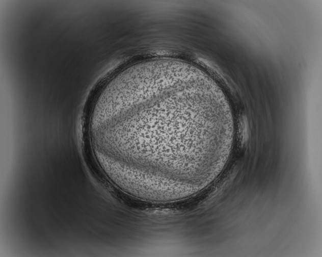 X0000094820730200712071245