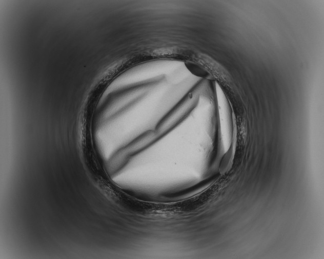 X0000094820732200712071245