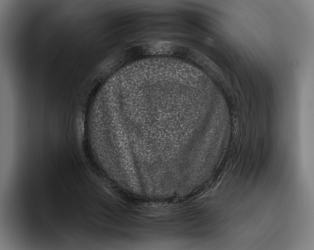 X0000094820733200712071245