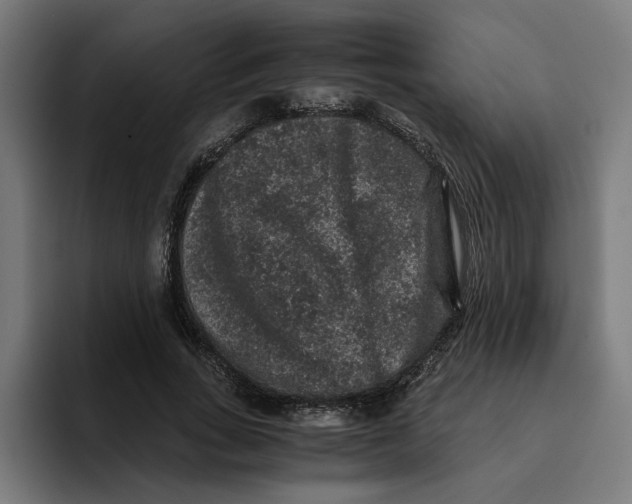 X0000094820735200712071245