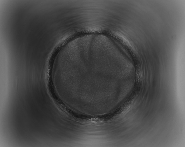 X0000094820736200712071245