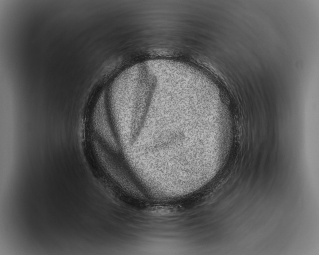 X0000094820738200712071245