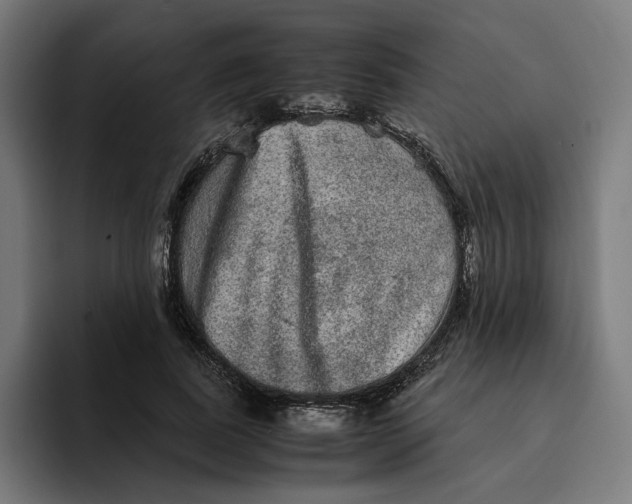 X0000094820739200712071245