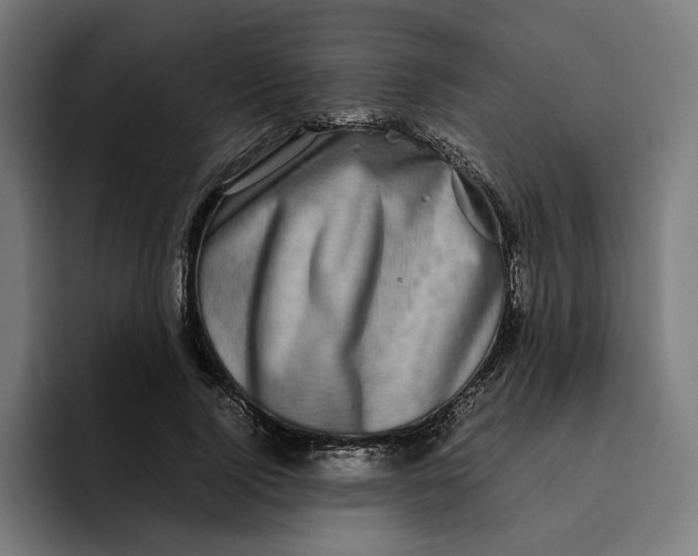 X0000094820740200712071245