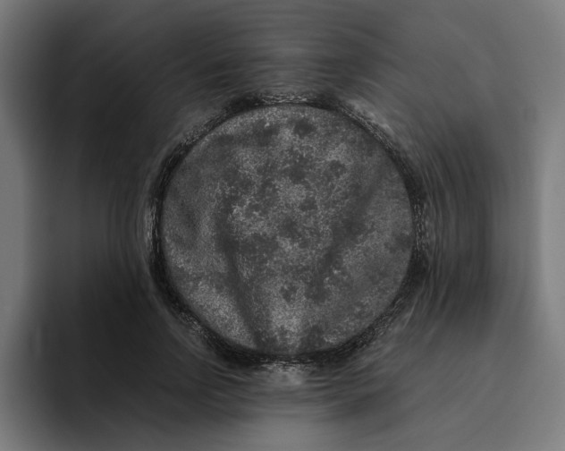 X0000094820742200712071245