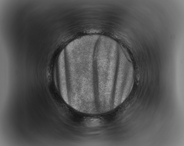 X0000094820743200712071245