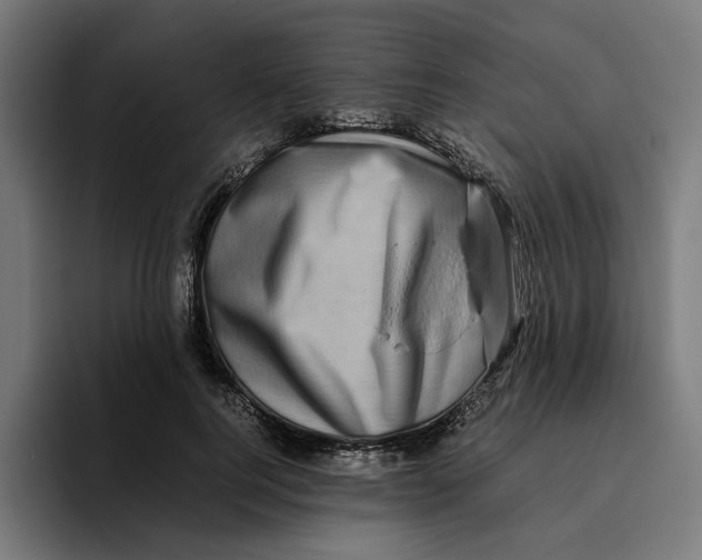 X0000094820744200712071245