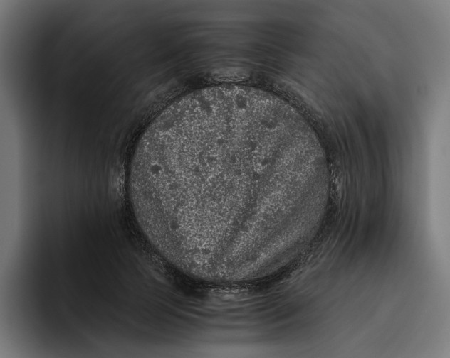 X0000094820745200712071245