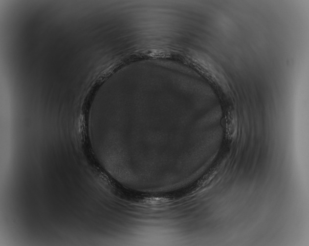 X0000094820748200712071245