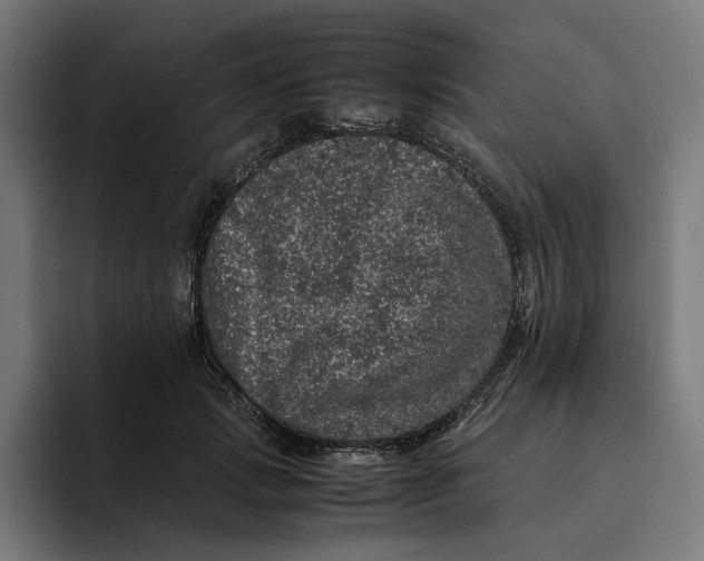 X0000094820749200712071245