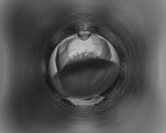 X0000094820754200712071245