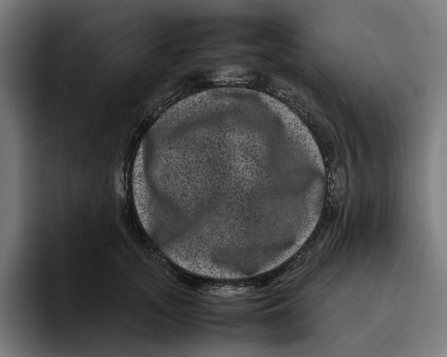 X0000094820755200712071245