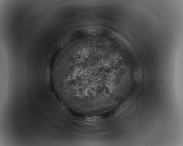 X0000094820757200712071245