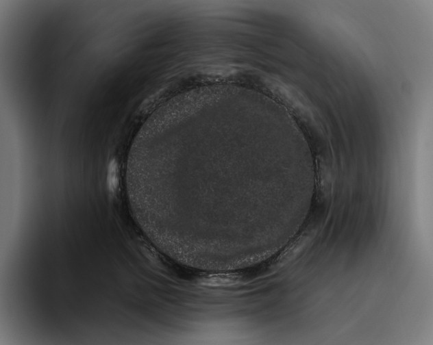 X0000094820758200712071245