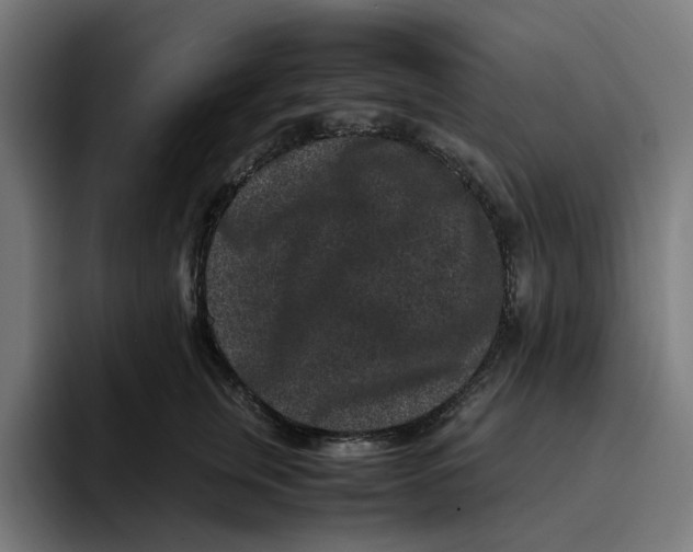 X0000094820759200712071245