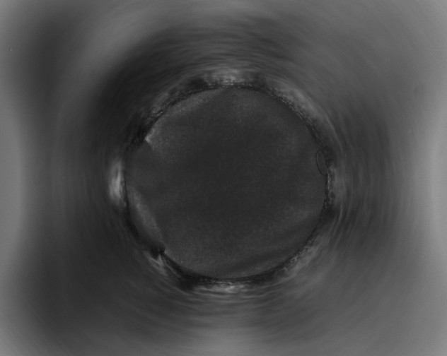 X0000094820760200712071245