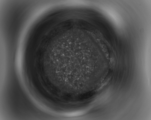 X0000094820765200712071246