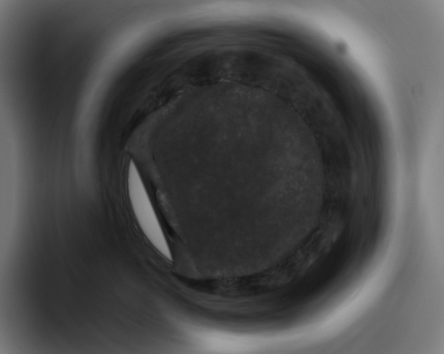 X0000094820766200712071246