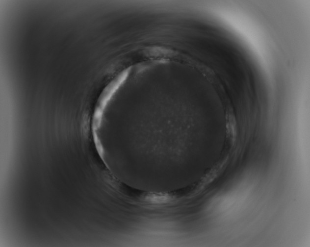 X0000094820767200712071246