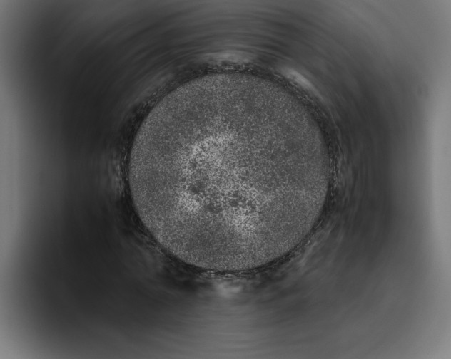 X0000094820774200712071245