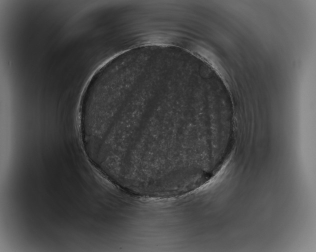 X0000094820779200712071245