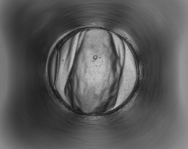 X0000094820780200712071245