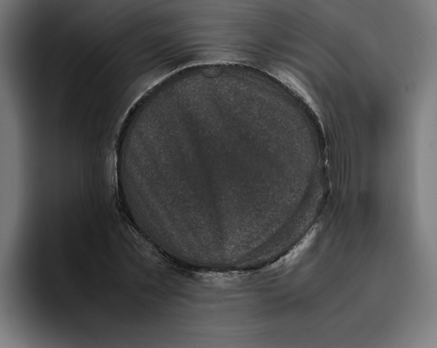 X0000094820781200712071245