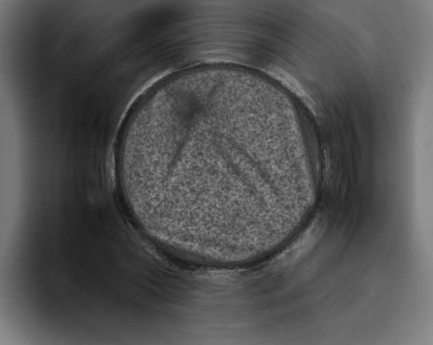 X0000094820782200712071245