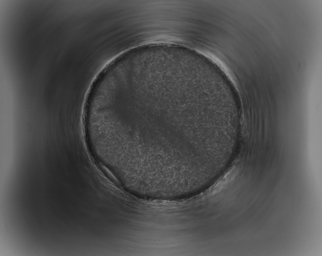 X0000094820783200712071245