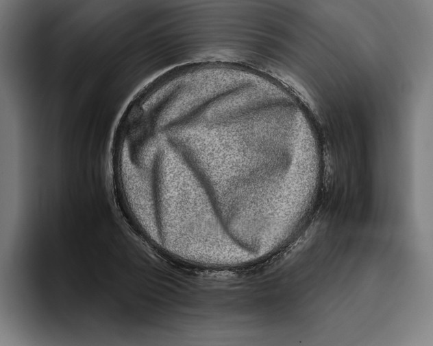 X0000094820784200712071245