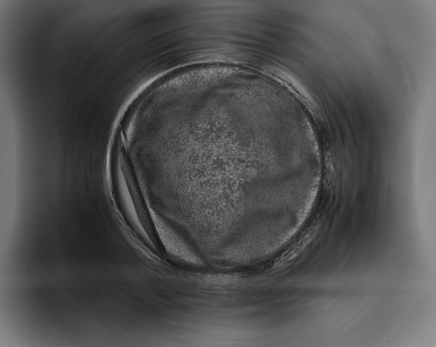 X0000094820788200712071245