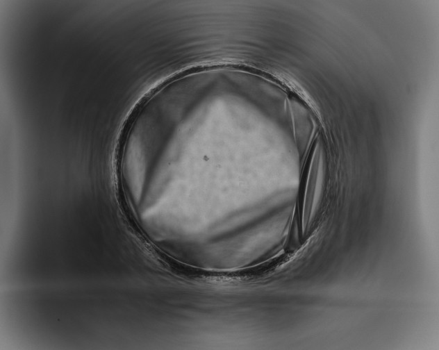 X0000094820789200712071245