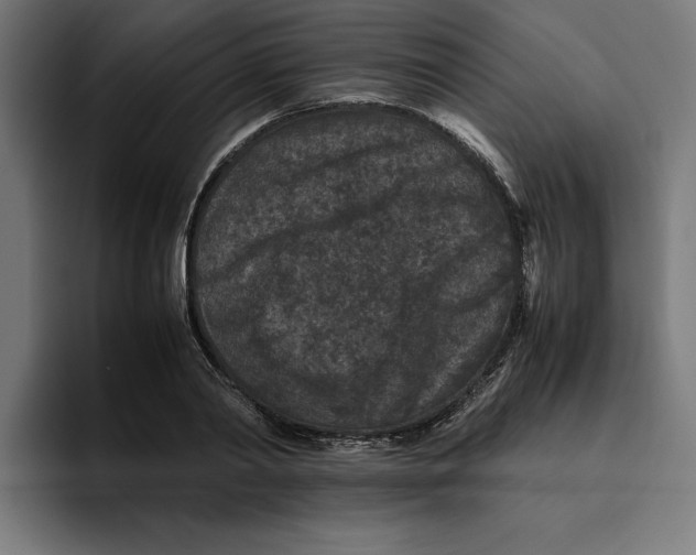 X0000094820790200712071245