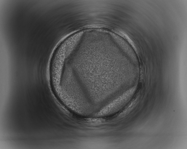 X0000094820795200712071245