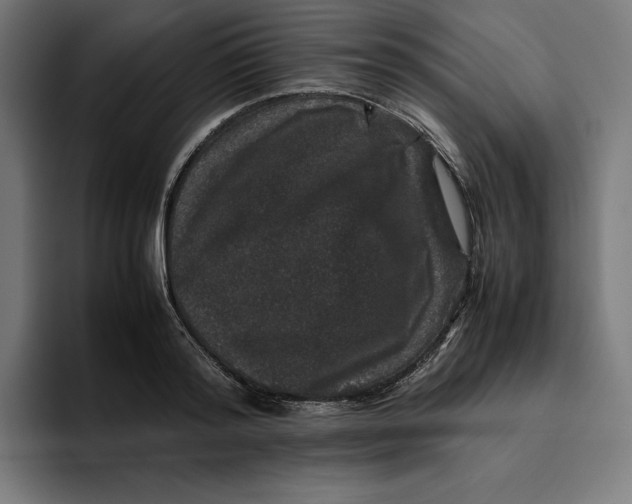 X0000094820796200712071245