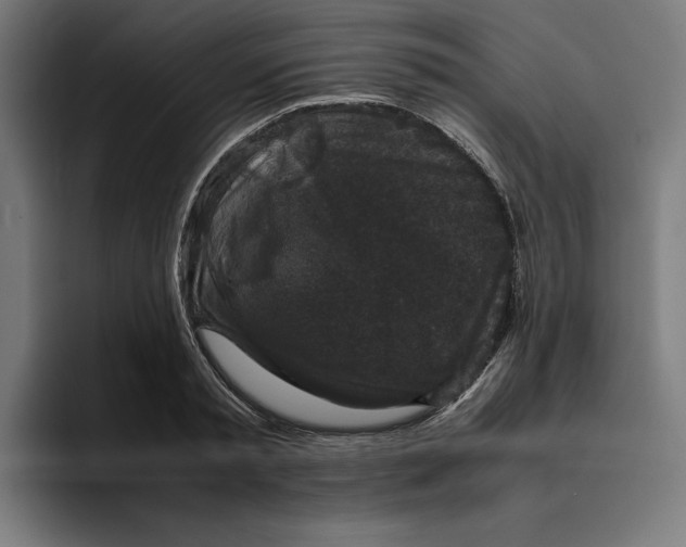 X0000094820797200712071245