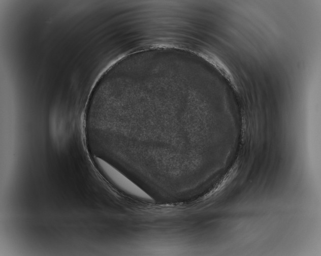 X0000094820798200712071245