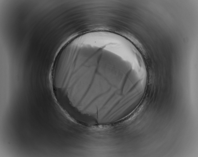 X0000094820806200712071244