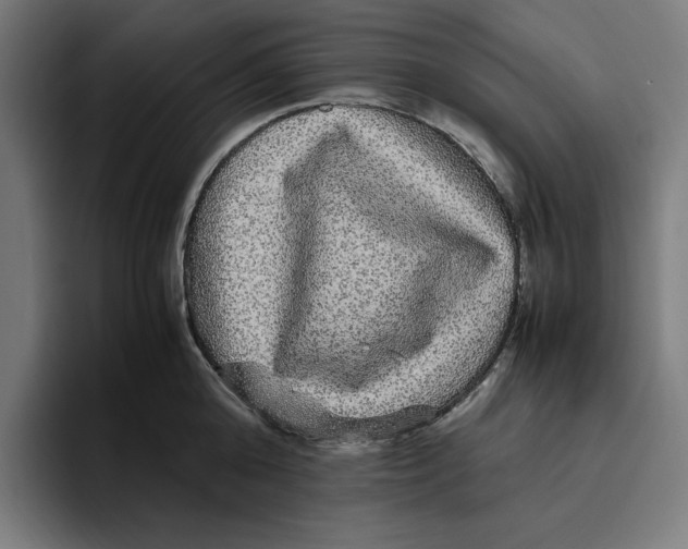 X0000094820808200712071244