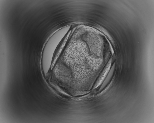 X0000094820810200712071244