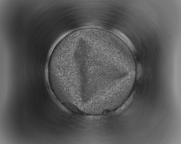 X0000094820812200712071244