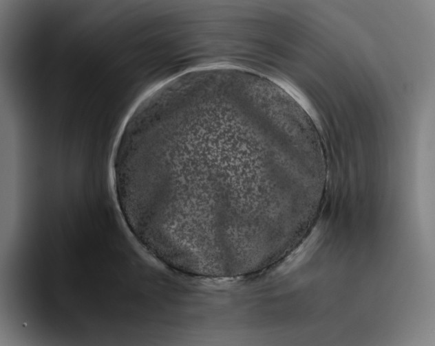 X0000094820813200712071244